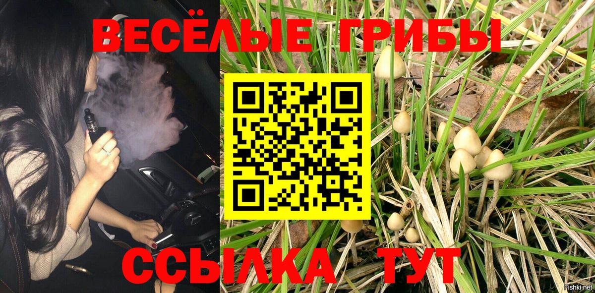 Псилоцибиновые грибы Psilocybe Красноярск