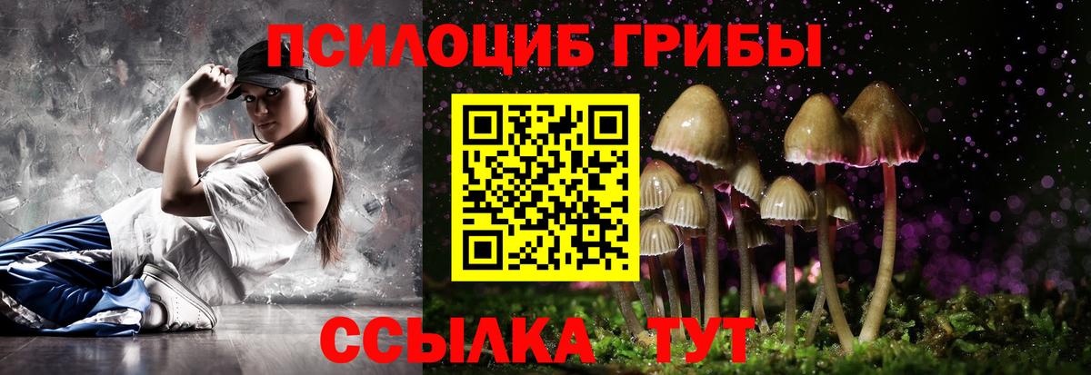 Псилоцибиновые грибы Cubensis  Галлюциногенные грибы прущие грибы  Красноярск  Вход с VPN 